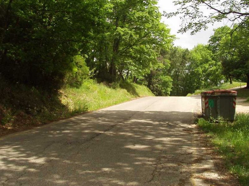 C21 Vetta Roveta.JPG - CIMA MONTE ROVETA CIRCA 350 SLM